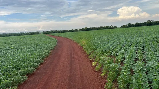 Fazenda / Sítio / Chácara com 7 Quartos à venda, 503m² no , Santa Maria do Tocantins