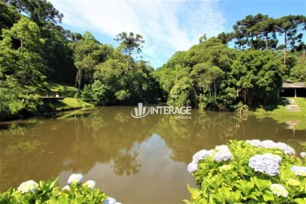 Fazenda / Sítio / Chácara com 4 Quartos à venda, 450m² no Quatro Barras, Quatro Barras