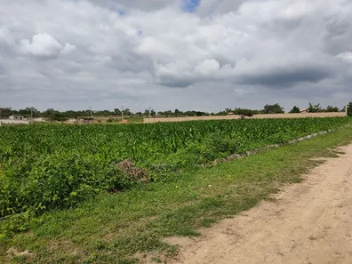 Terreno / Lote / Condomínio à venda, 1410m² no Maria Quitéria, Feira de Santana
