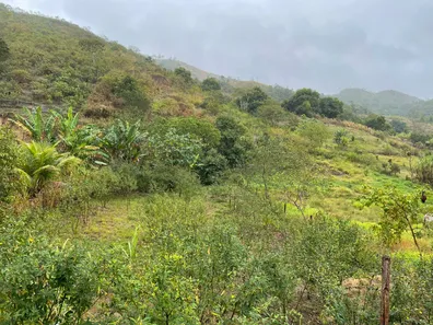 Fazenda / Sítio / Chácara à venda, 1887m² no , Rio Bonito