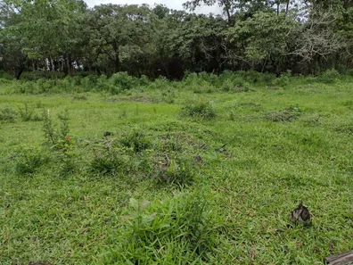 Terreno / Lote / Condomínio à venda, 20000m² no , Fortuna de Minas