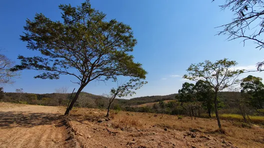 Terreno / Lote / Condomínio à venda, 20000m² no Zona Rural, Fortuna de Minas