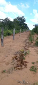 Fazenda / Sítio / Chácara à venda, 245m² no , Ponte Alta do Tocantins