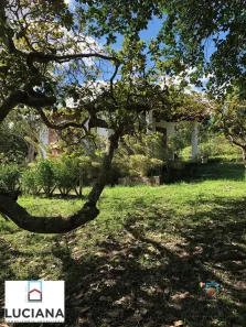 Fazenda / Sítio / Chácara com 3 Quartos à venda, 20000m² no Alpes Suiços, Gravatá