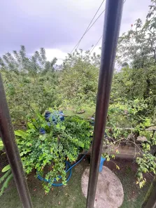 Fazenda / Sítio / Chácara com 3 Quartos à venda, 200m² no Ajuda de Cima, Macaé