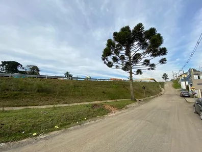 Terreno / Lote Comercial à venda, 232m² no Rondinha, Campo Largo