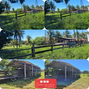Fazenda / Sítio / Chácara à venda, 7260000m² no , Ponte Alta do Bom Jesus