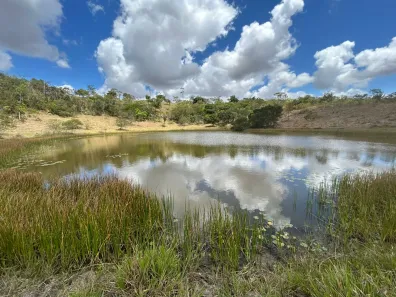 Fazenda / Sítio / Chácara com 3 Quartos à venda, 120000m² no , Sairé