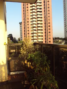 Apartamento com 4 Quartos à venda, 220m² no Bosque da Saúde, São Paulo