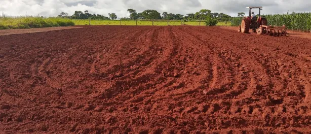 Fazenda / Sítio / Chácara à venda, 2000m² no Área Rural, Goianira