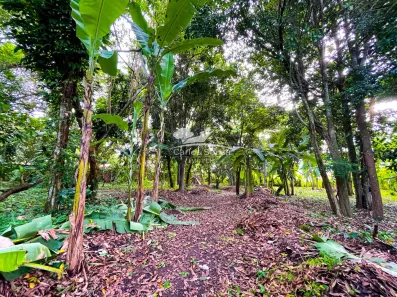 Terreno / Lote / Condomínio à venda, 1000m² no Aldeia dos Camarás, Camaragibe