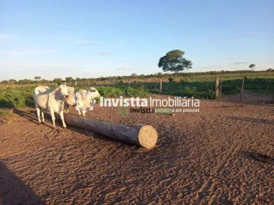 Fazenda / Sítio / Chácara à venda, 764m² no Centro, Cristalândia