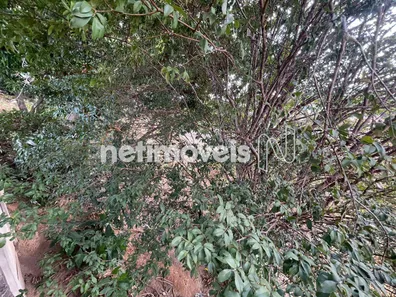Terreno / Lote Comercial à venda, 450m² no Centro, Florestal
