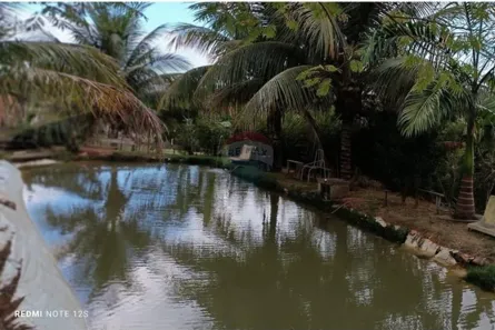Loja / Salão / Ponto Comercial com 2 Quartos à venda, 5000m² no Vila Bretas, Governador Valadares