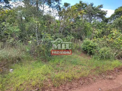 Fazenda / Sítio / Chácara à venda, 2444m² no , Santa Maria do Tocantins
