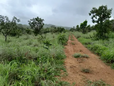 Fazenda / Sítio / Chácara com 2 Quartos à venda, 280000m² no , Padre Bernardo