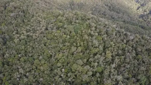 Fazenda / Sítio / Chácara à venda, 290400m² no , Antonina