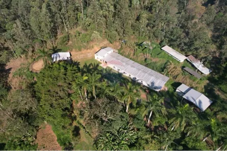 Fazenda / Sítio / Chácara com 4 Quartos para alugar, 53800m² no Rui Sanglard, Nova Friburgo