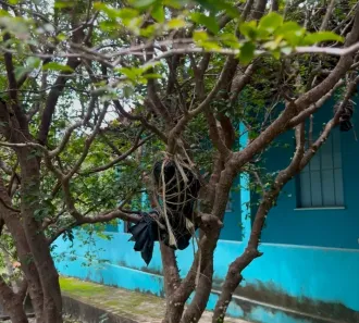 Fazenda / Sítio / Chácara com 4 Quartos à venda, 12000000m² no Centro, Altos