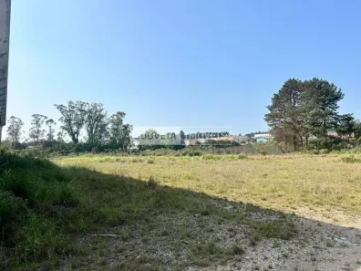 Loja / Salão / Ponto Comercial para alugar, 10000m² no Atuba, Colombo