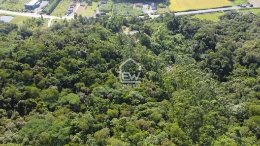 Fazenda / Sítio / Chácara com 1 Quarto à venda, 20100m² no Centro, Massaranduba