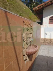 Fazenda / Sítio / Chácara com 5 Quartos à venda, 4797m² no , Mendes