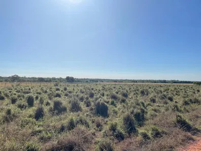 Fazenda / Sítio / Chácara com 5 Quartos à venda, 1326m² no , Formoso do Araguaia