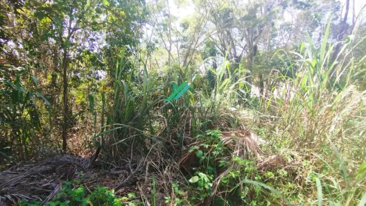 Terreno / Lote / Condomínio à venda, 576m² no São Geraldo (Bacaxá), Saquarema