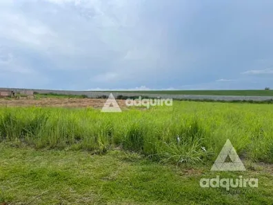 Fazenda / Sítio / Chácara com 1 Quarto à venda, 1897m² no Taquari dos Polacos, Ponta Grossa