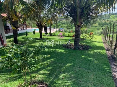 Fazenda / Sítio / Chácara com 5 Quartos à venda, 15000m² no , Sairé