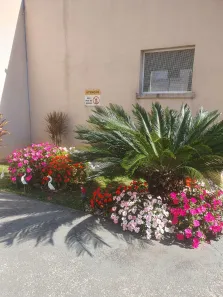 Apartamento com 2 Quartos para alugar, 50m² no Barro Branco, Cotia