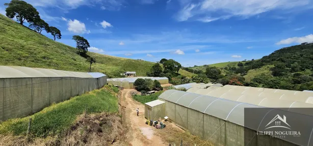 Fazenda / Sítio / Chácara com 4 Quartos à venda, 7395m² no Avelar, Paty do Alferes