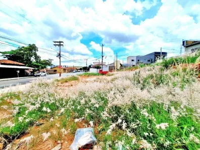 Terreno / Lote / Condomínio para alugar, 700m² no Jardim Nova Europa, Limeira