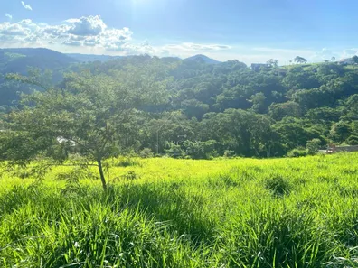 Terreno / Lote / Condomínio à venda, 1167m² no , Areal