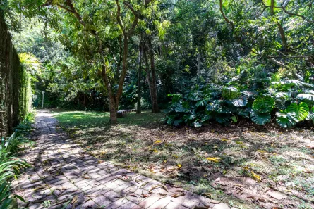 Casa de Condomínio com 4 Quartos à venda, 260m² no Jardim Morumbi, São Paulo