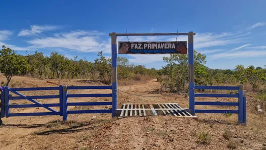 Fazenda / Sítio / Chácara à venda, 10933542m² no , Paranã