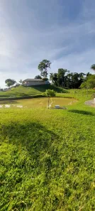 Fazenda / Sítio / Chácara com 3 Quartos à venda, 18000m² no , Antonina