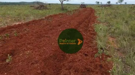 Fazenda / Sítio / Chácara à venda, 17151750m² no , Ponte Alta do Tocantins