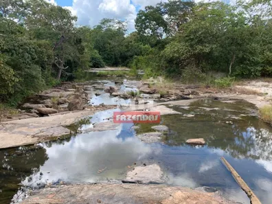 Fazenda / Sítio / Chácara à venda, 500m² no , Paranã