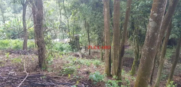 Terreno / Lote / Condomínio à venda, 2400m² no Rancho Grande, Mairiporã