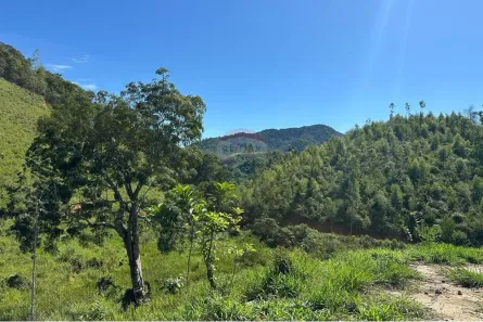 Fazenda / Sítio / Chácara à venda, 60m² no , Rio Bonito