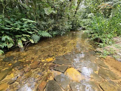 Fazenda / Sítio / Chácara à venda, 463710m² no Ponta da Pedra, Antonina