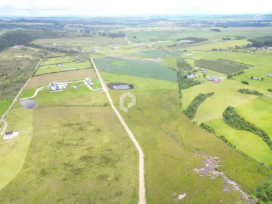 Terreno / Lote / Condomínio à venda, 20000m² no São Luiz do Purunã, Balsa Nova
