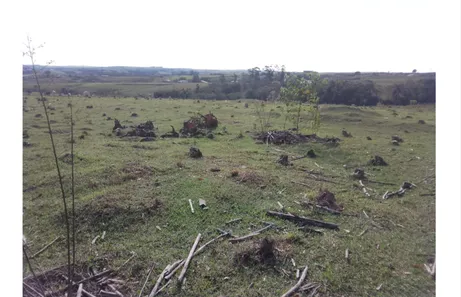 Fazenda / Sítio / Chácara com 1 Quarto à venda, 47m² no Vila Cesari Purgato, Mombuca