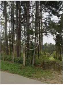 Terreno / Lote / Condomínio à venda, 54330m² no Centro, Embu-Guaçu