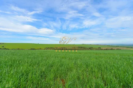 Fazenda / Sítio / Chácara com 4 Quartos à venda, 3146000m² no Colônia Dona Luíza, Ponta Grossa