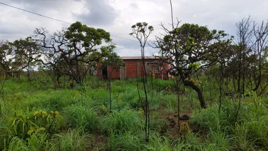 Fazenda / Sítio / Chácara com 1 Quarto à venda, 21000m² no Área Rural do Gama, Brasília