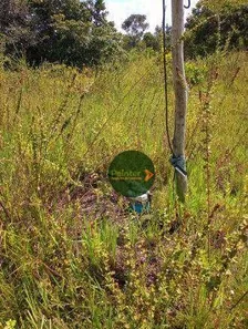 Fazenda / Sítio / Chácara à venda, 35622400m² no , Paranã