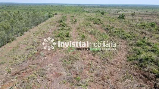 Fazenda / Sítio / Chácara à venda, 388m² no Centro, Pium