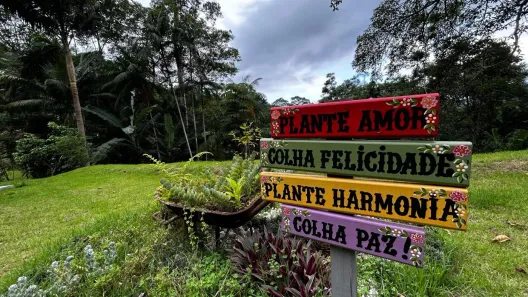 Fazenda / Sítio / Chácara com 2 Quartos à venda, 7000m² no Centro, Águas Mornas